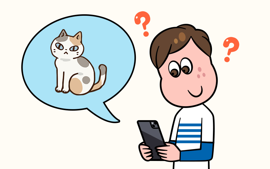 夜中に「猫」を探すアルバイト